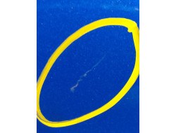 5707fea97514e7964b0e6853f12b0f28