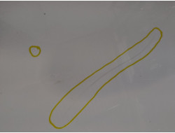 44613a202a19f0de1c158468a1d7e657