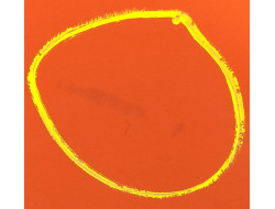 5be7391c50bd0244f9d532a2d95cb7f7