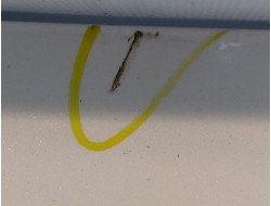 797415263d961a75c498ca75bc9a44c5